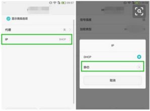 华为手机怎么设置域名 华为手机怎么设置域名