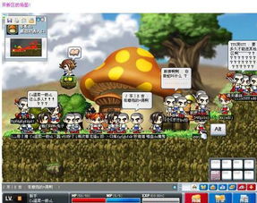 冒险岛2小游戏攻略 VS 插秧游戏攻略