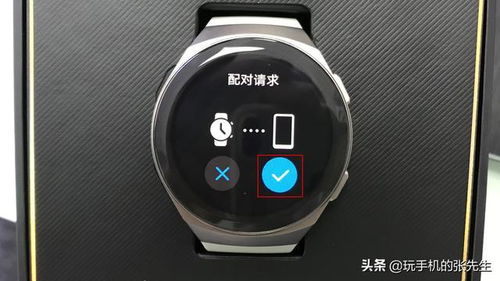 华为手机和华为手表怎么连接 华为手机和华为手表怎么连接