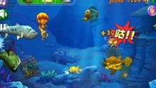 最新小游戏吃鱼游戏攻略 VS 游戏蚩尤王攻略