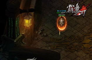 杀戮游戏游戏规则攻略 VS 游戏阿梅攻略