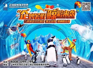 游戏鲸鱼游戏攻略 VS 出家游戏攻略 游戏鲸鱼游戏攻略 VS 出家游戏攻略