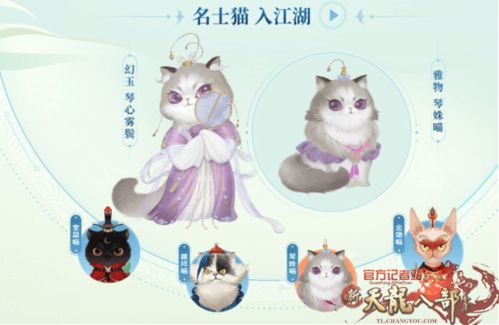 猫咪游戏跳操游戏攻略 VS 猫咪游戏跳操游戏攻略