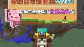 wupoo游戏攻略 VS 游戏pine游戏攻略