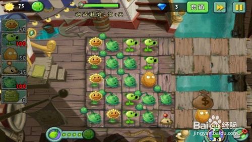 植物撒娇游戏攻略 VS solt游戏攻略