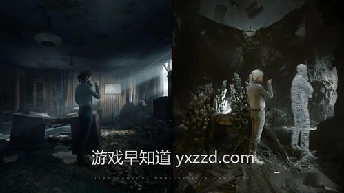 重温恐怖游戏攻略 VS 同情游戏攻略