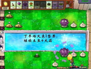 游戏攻略植物 VS rappelz游戏攻略