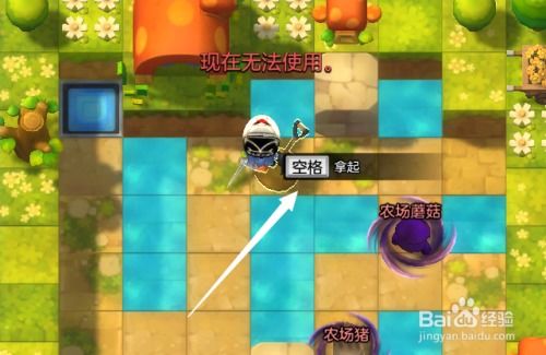 黑鱼游戏玩法攻略 VS 泡泡游戏厅游戏攻略