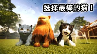 猫咪游戏欢乐攻略 VS 穿越游戏初期攻略