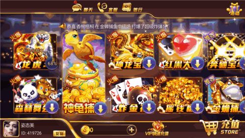 游戏攻略组l VS 大宝游戏小游戏攻略