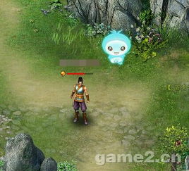 暗黑2出货游戏攻略 VS 神游戏游戏攻略