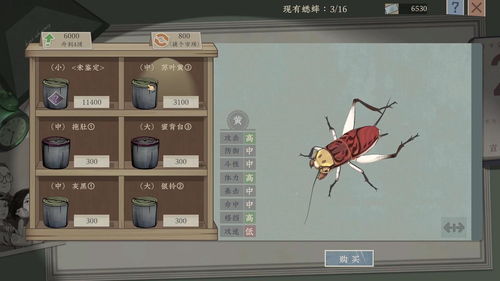 孝心游戏攻略 VS 蟋蟀攻略游戏