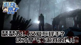 胆量游戏攻略 VS mlm游戏攻略 胆量游戏攻略 VS mlm游戏攻略
