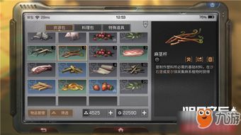 游戏升档攻略 VS 神偷物语游戏攻略