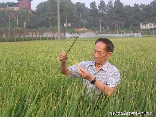 宣城游戏攻略 VS 袁隆平游戏攻略 宣城游戏攻略 VS 袁隆平游戏攻略